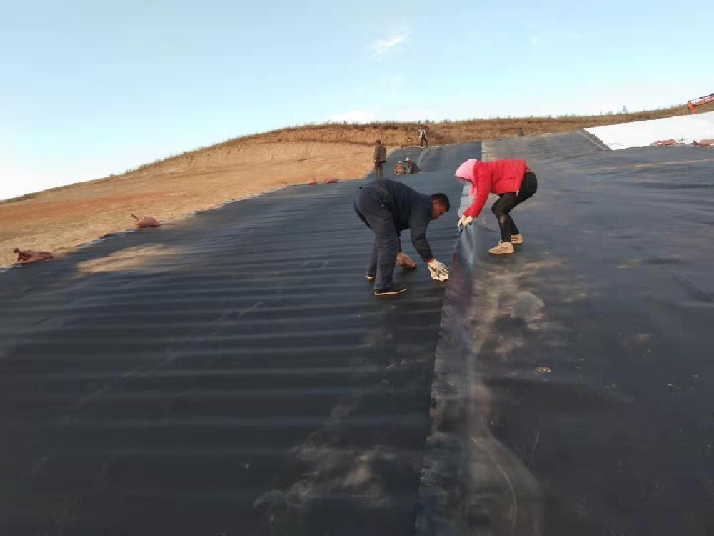 选择鱼塘水蜜桃久久夜色成人精品膜时需要考虑多种因素